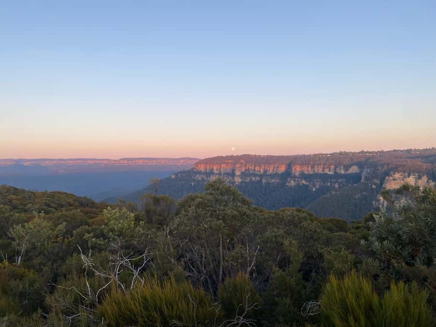 #1 Blue Mountains Tour Scenic World Waterfalls Wildlife Park - Waterfalls, lookouts, and the value of a local guide