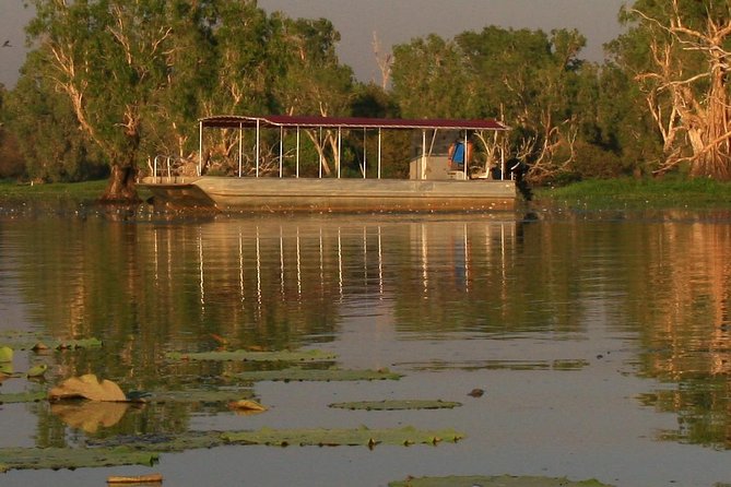 1 Day Corroboree Billabong Wetland Experience including 2.5 hour cruise + lunch - Birdwatching can be just as good as crocodile spotting