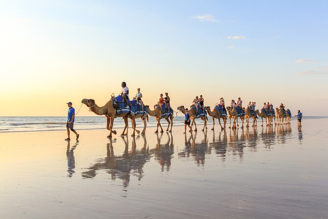 1 Hour Broome Sunset Camel Tour - Carrots, pearls, and the small touches