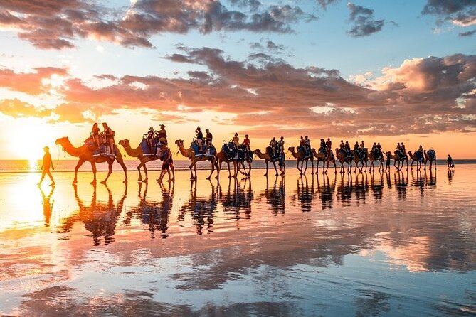 1 Hour Broome Sunset Camel Tour - Finding the camels at Cable Beach