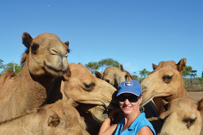 1 Hour Broome Sunset Camel Tour - Is $125 good value?