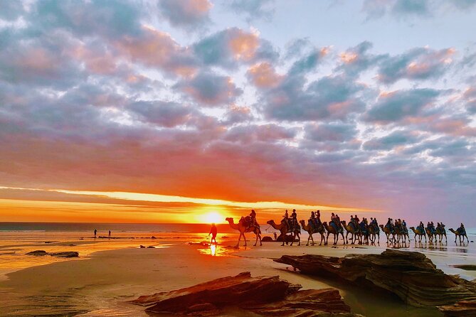1 Hour Broome Sunset Camel Tour - Who will enjoy this most?