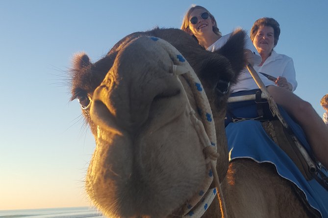 1 Hour Broome Sunset Camel Tour - Timing, weather, and cancellation rules