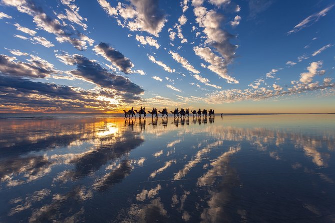 1 Hour Broome Sunset Camel Tour - The best part: photos without the fuss