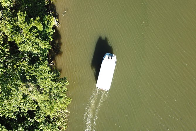 1-Hour Daintree River wildlife cruise - Why this short Daintree cruise works so well