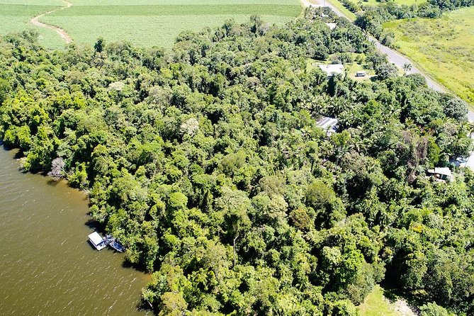 1-Hour Daintree River wildlife cruise - More than crocodiles: birds, trees, and river stories