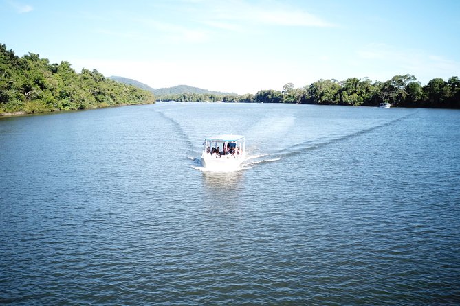 1-Hour Daintree River wildlife cruise - Is $25.10 a fair price?