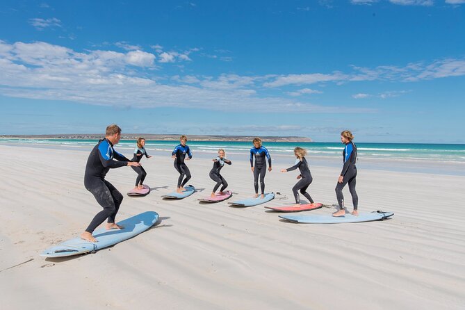 10-Day Adelaide to Perth Adventure Tour - Day 3: Baird Bay, surfing, and Penong