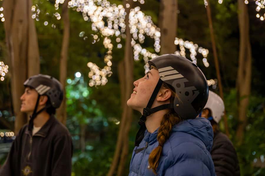 2.5 Hour Brisbane: Sightseeing Tours - Morning & Night - Starting at Kangaroo Point with a proper lesson