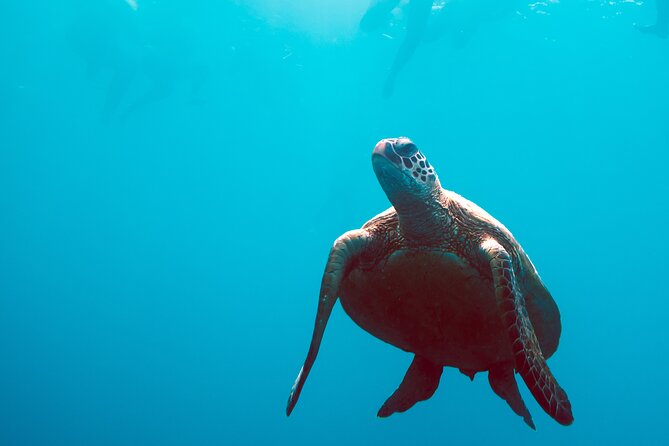 2 Day & 2 Night Whitsundays Sailing Adventure on Broomstick - Leaving Coral Sea Marina at 2pm