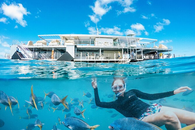 2-Day Great Barrier Reef: Reefsleep Experience - Reefworld pontoon: your base for two days