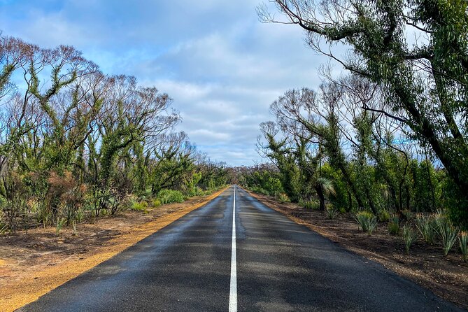 2 day Ultimate Kangaroo Island with return ferry - Flinders Chase and the recovering bush