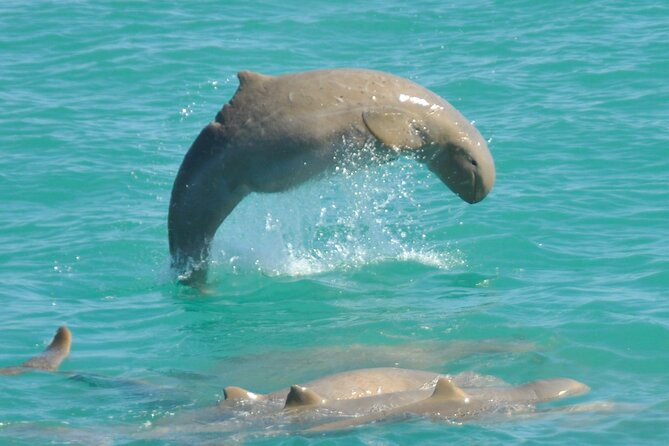 3.5 Hour Broome Sunset Cruise - Key things to know before you book