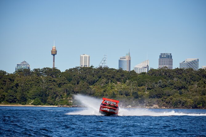 30-Minute Sydney Harbour Jet Boat Thrill Ride - Who should book this ride?