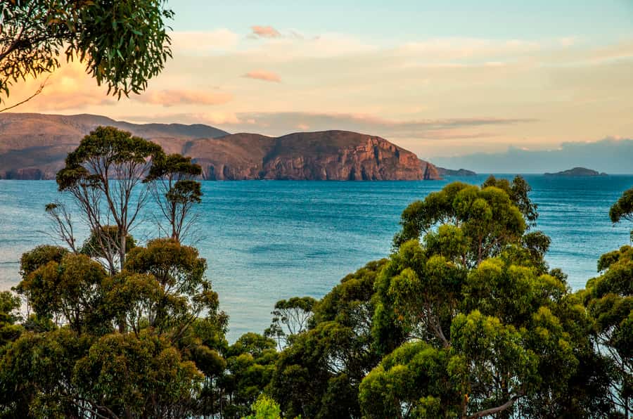 3D Tasmanian Highlights: Hobart, Port Arthur & Bruny Island - Is $322 good value for three days?