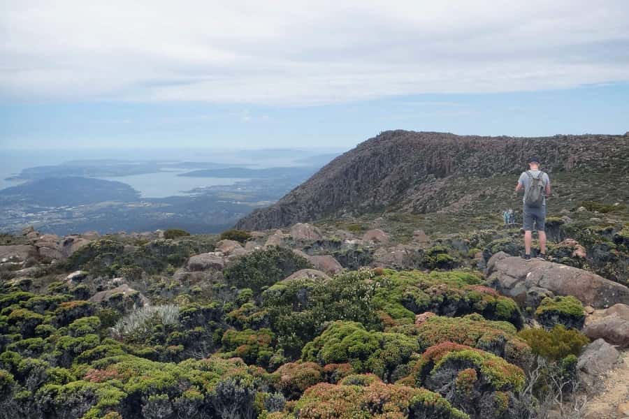 48-Hour Hobart City Loop Tour and Mt Wellington - Why this Hobart ticket works so well