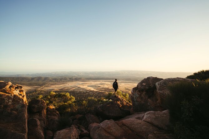 7 Day Adelaide to Uluru Adventure and Cultural Tour - Why this seven-day route works