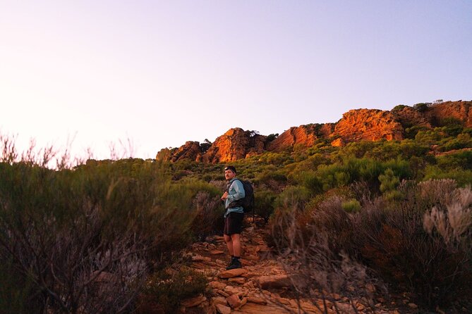 7 Day Adelaide to Uluru Adventure and Cultural Tour - Day four: the long haul toward Kings Canyon