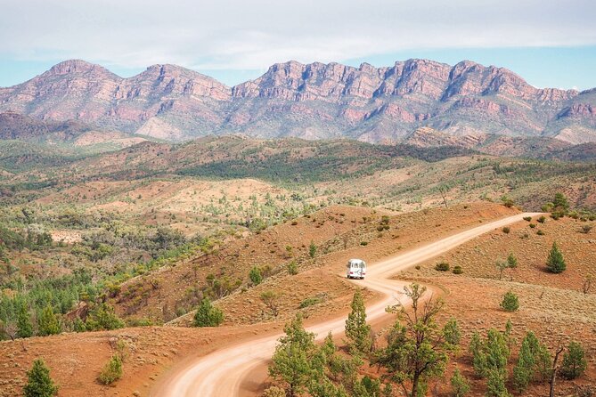 7 Day Uluru to Adelaide Cultural and Adventure Tour - What this Uluru to Adelaide trip is really like