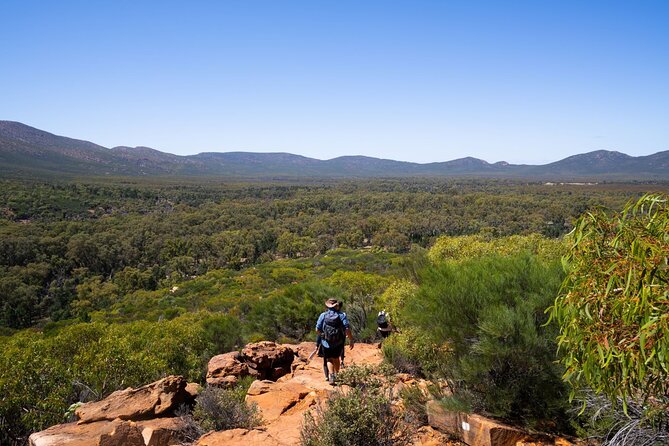 7 Day Uluru to Adelaide Cultural and Adventure Tour - Day 4: Crossing into South Australia and sleeping underground