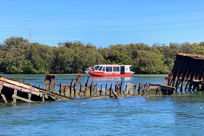90 Minute Port River Dolphin & Ships Graveyard Cruise - Why this Port Adelaide cruise is worth your time