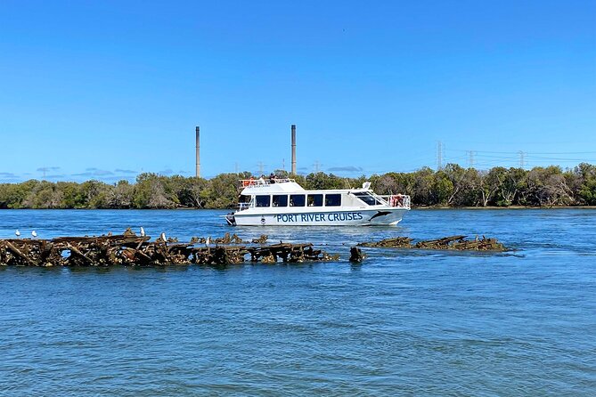 90 Minute Port River Dolphin & Ships Graveyard Cruise - Dolphin spotting in the Adelaide Dolphin Sanctuary