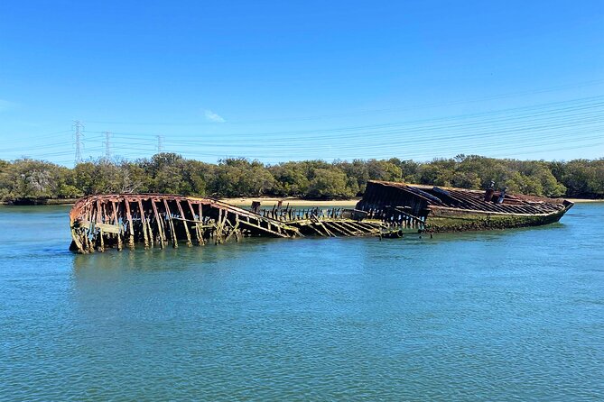 90 Minute Port River Dolphin & Ships Graveyard Cruise - Birdlife adds another layer to the river trip