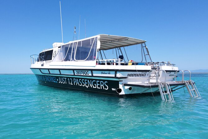 ABC Reef Safaris - A marine biology lesson before the first swim