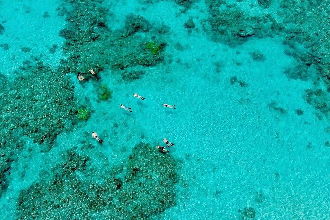 ABC Reef Safaris - Lunch, pastries, and the parts between swims
