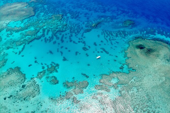 ABC Reef Safaris - What $458.32 buys you