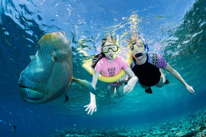 ABC Reef Safaris - Two outer reef sites, chosen for the conditions