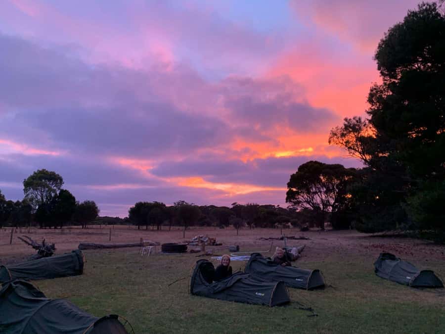 Adelaide: 3-Day Kangaroo Island Adventure Tour with Camping - Food, guides, and group atmosphere