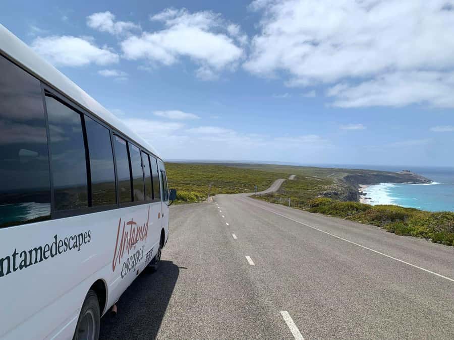 Adelaide: 3-Day Kangaroo Island Adventure Tour with Camping - Your first choices: sea safari or Ironstone Hill