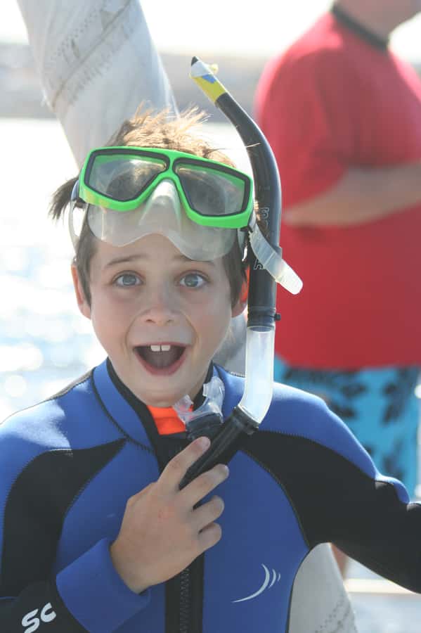 Adelaide: 4-Hour Swimming with Dolphins Experience - The sound and sight of dolphins underwater