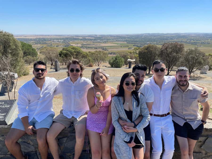 Adelaide: Barossa Premium Wine Tasting tour & Winery Lunch - Seppeltsfield and the Avenue of Palms