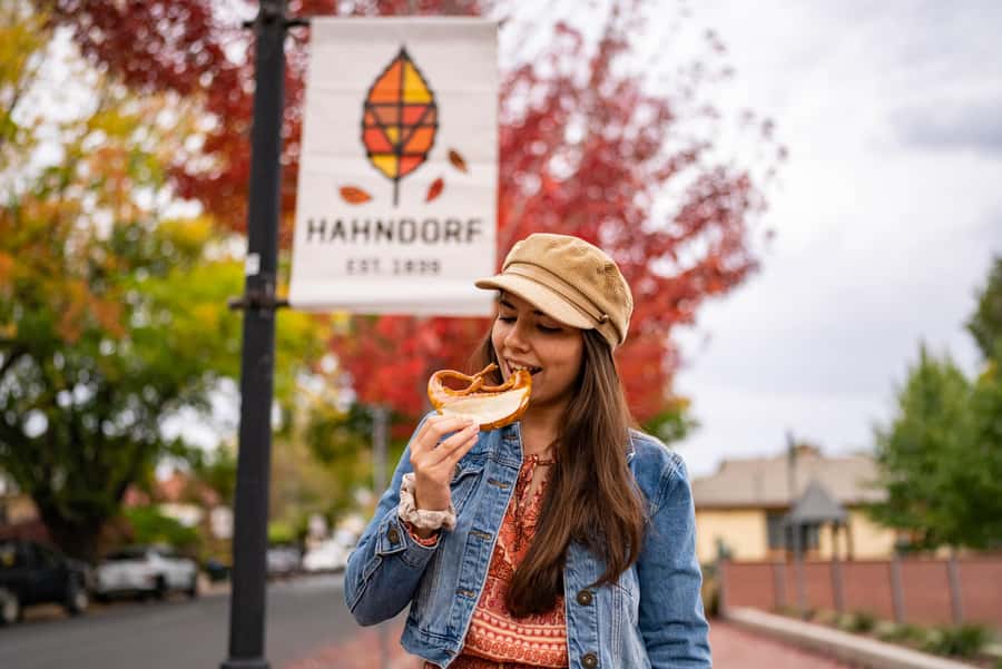 Adelaide: City, Adelaide Hills Villages, and Hahndorf Tour - The 75-minute lunch break