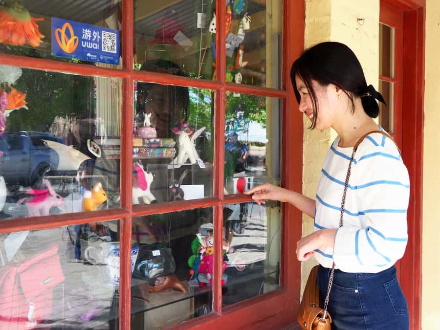 Adelaide: City, Adelaide Hills Villages, and Hahndorf Tour - Hahndorf, where the afternoon opens up