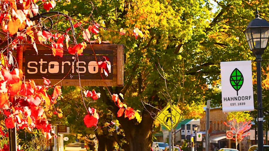 Adelaide City Highlights Half-Day Tour, Mt Lofty & Hahndorf - Adelaide CBD landmarks from the road