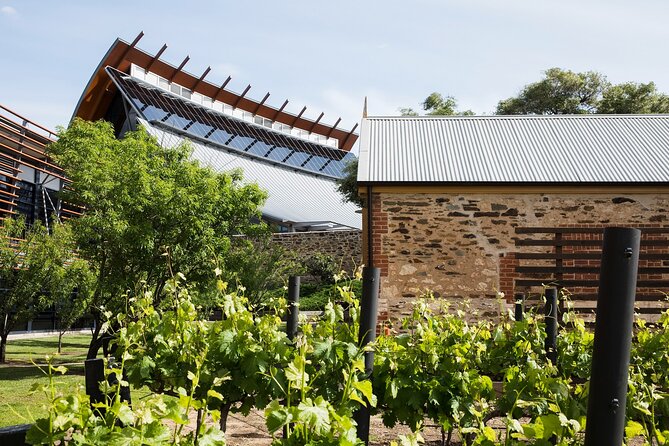 Adelaide City Highlights Tour - North Terrace and Adelaide’s cultural precinct