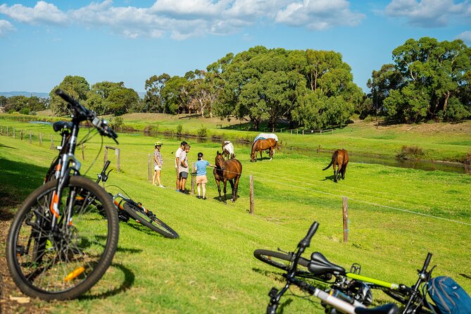 Adelaide City to Sea Bike Tour - Henley Beach and the included morning food