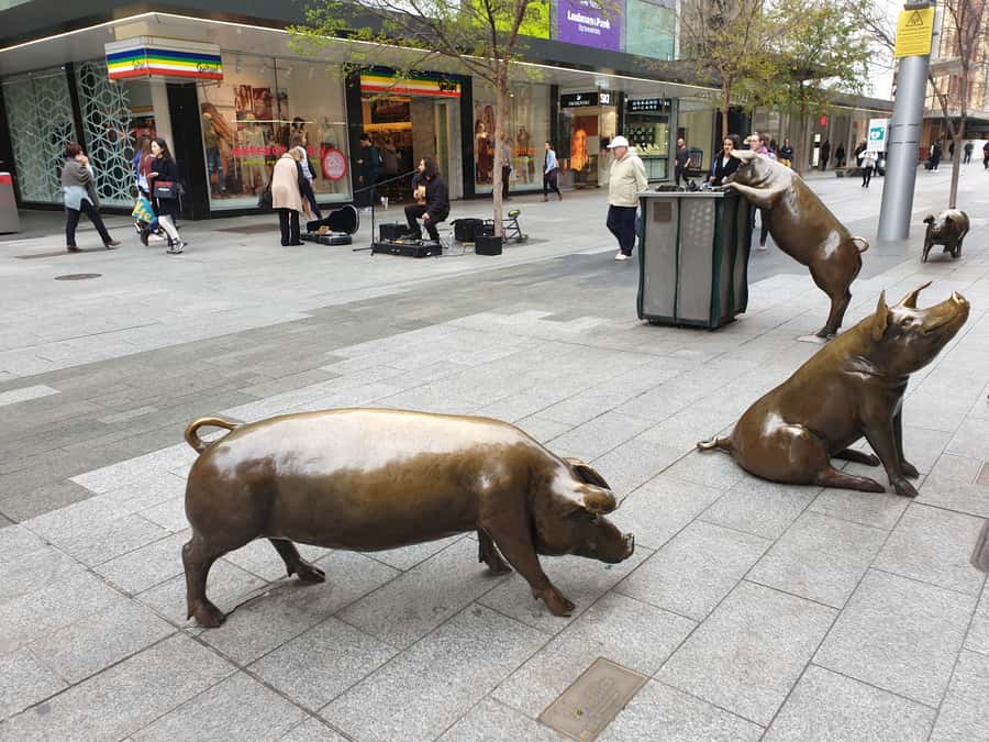 Adelaide: City Walking Tour with Guide - Leigh Street, food spots, and practical local advice