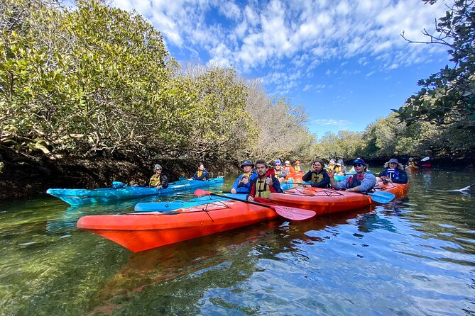 Adelaide Dolphin Sanctuary and Ships Graveyard Kayak Tour - Five things to know before you paddle