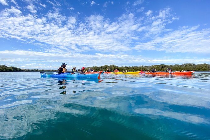 Adelaide Dolphin Sanctuary and Ships Graveyard Kayak Tour - Your first paddle at Adventure Kayaking SA