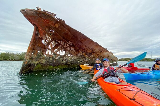 Adelaide Dolphin Sanctuary and Ships Graveyard Kayak Tour - Is $55.94 good value?
