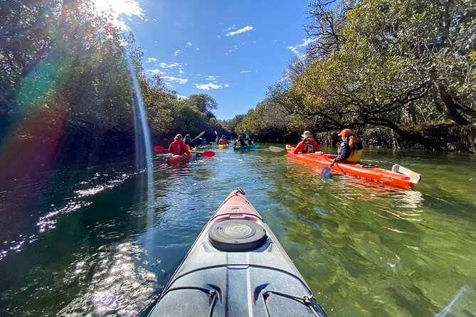 Adelaide Dolphin Sanctuary and Ships Graveyard Kayak Tour - Entering the Adelaide Dolphin Sanctuary
