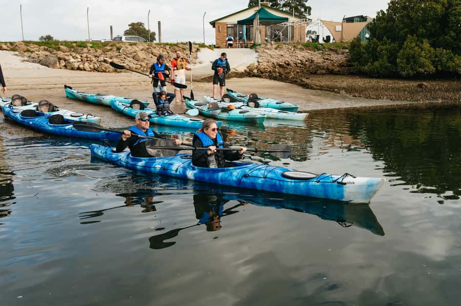 Adelaide: Dolphin Sanctuary Eco Kayaking Tour - Is $55 a fair price?