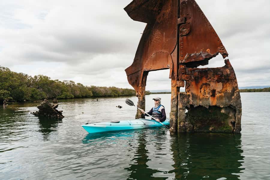 Adelaide: Dolphin Sanctuary Eco Kayaking Tour - Port Adelaide is the launch point