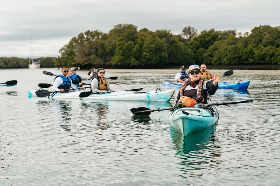 Adelaide: Dolphin Sanctuary Eco Kayaking Tour - Shipwrecks add a human story to the wetland