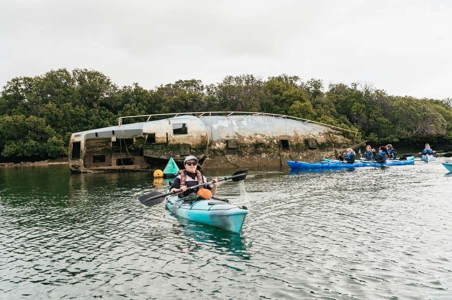 Adelaide: Dolphin Sanctuary Eco Kayaking Tour - How hard is three hours on the water?