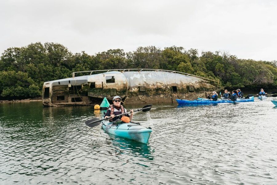 Adelaide: Dolphin Sanctuary Eco Kayaking Tour - Weather, tides, and insects matter more than you might expect